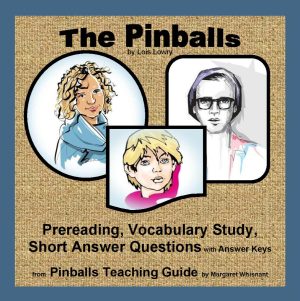 Pinballs, The: Prereading, Vocabulary, Short Answer Questions